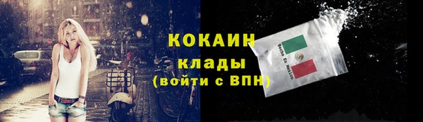 шишки Нягань