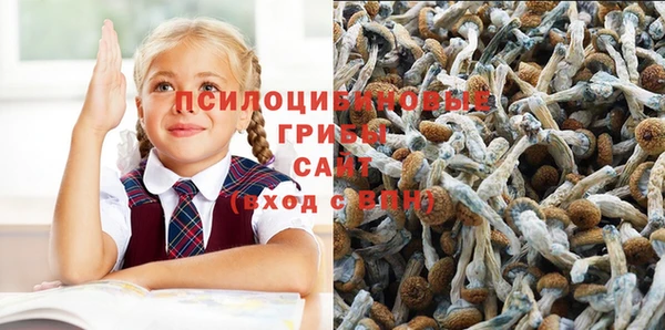 шишки Нягань