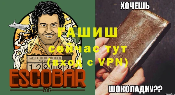 прущие грибы Новозыбков