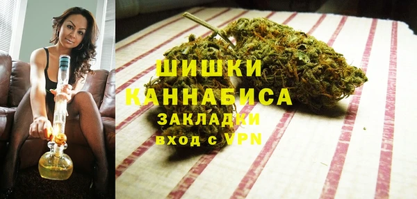 шишки Нягань
