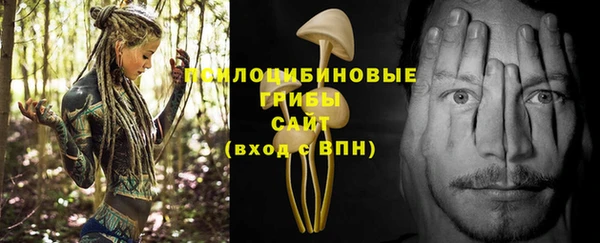 шишки Нягань