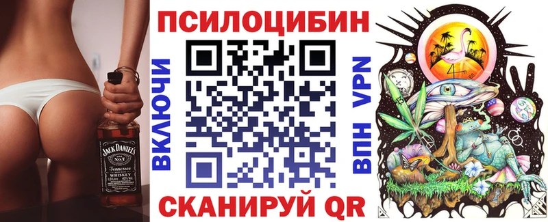 Псилоцибиновые грибы Psilocybe  Кумертау 