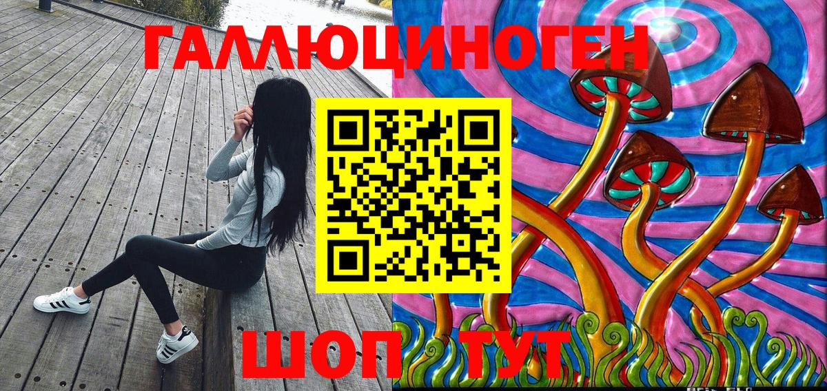Галлюциногенные грибы Psilocybine cubensis Кумертау