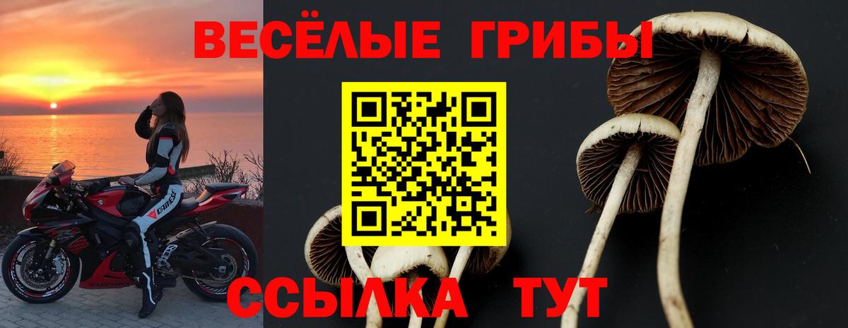 Галлюциногенные грибы прущие грибы Кумертау